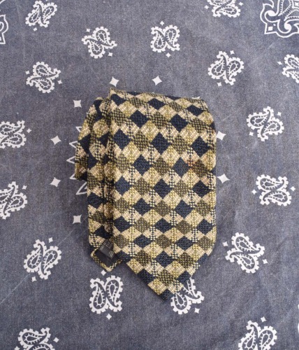 Ermenegildo zegna silk necktie (made in Italy)