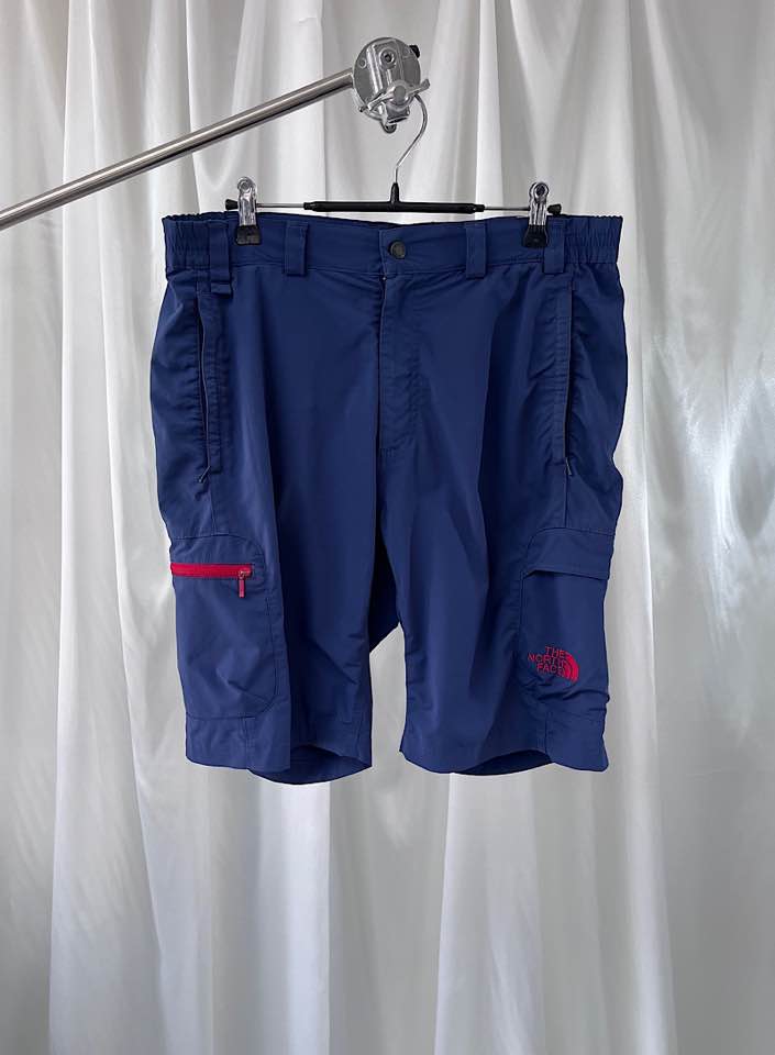 The north face pants