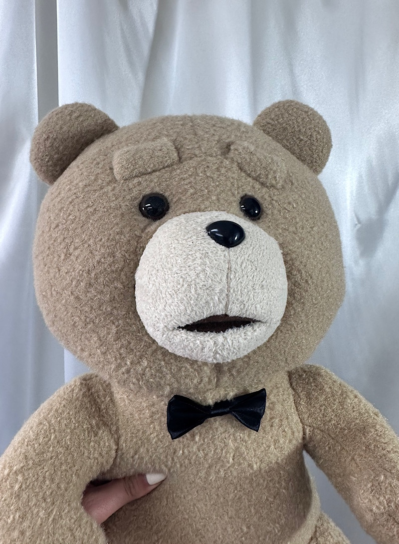Ted doll (new arrival)