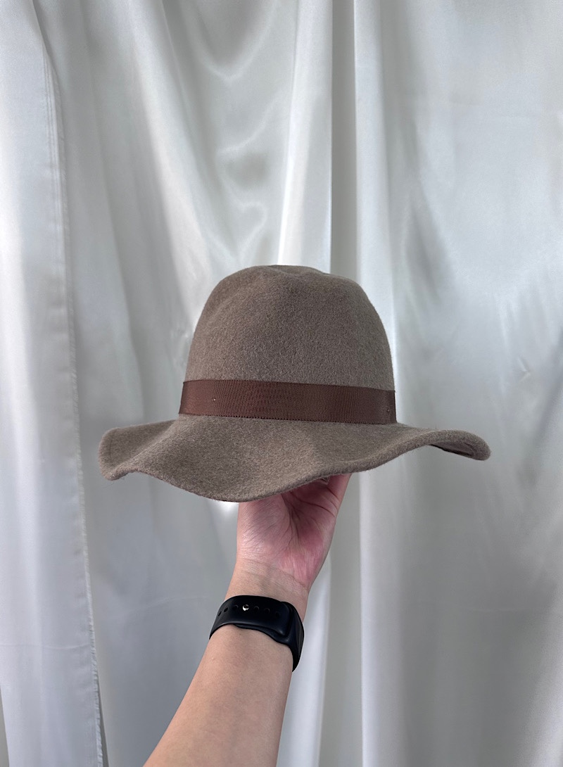 ZARA wool hat (m)