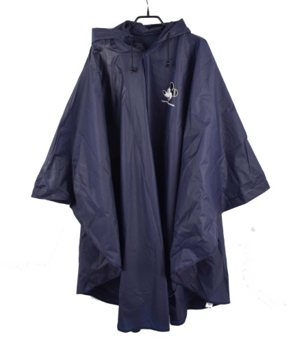 Disney raincoat
