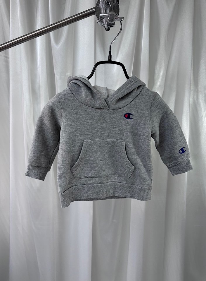 Champion hoodie for kids (80)