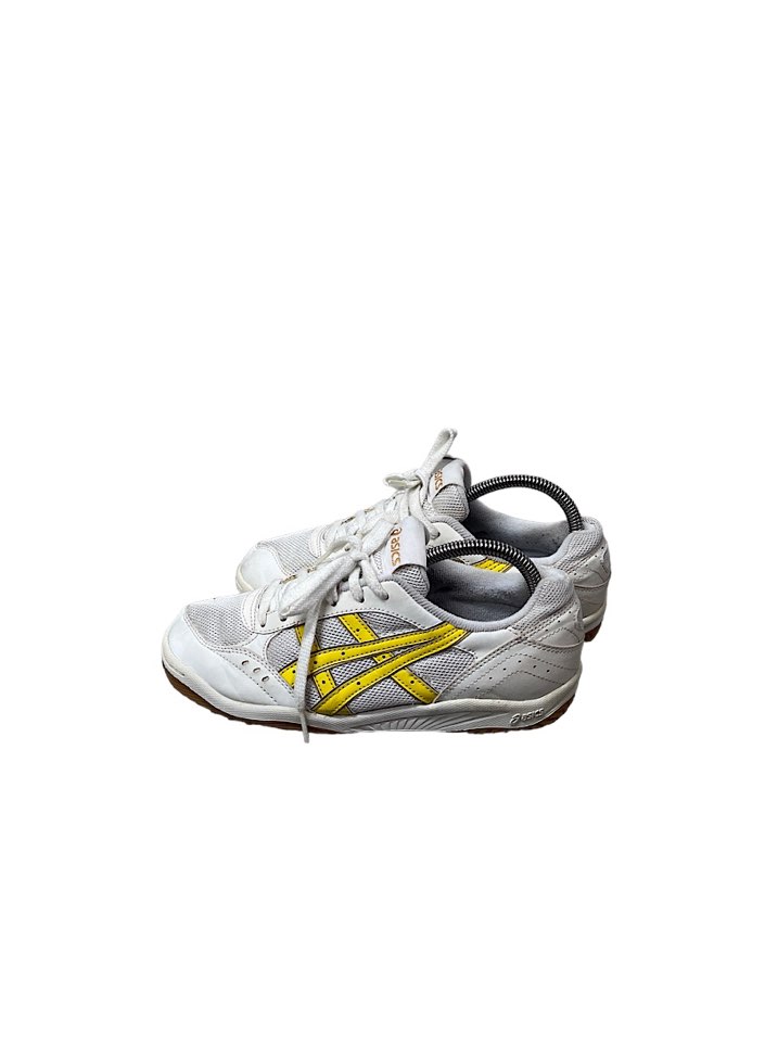 asics shoes (240mm)