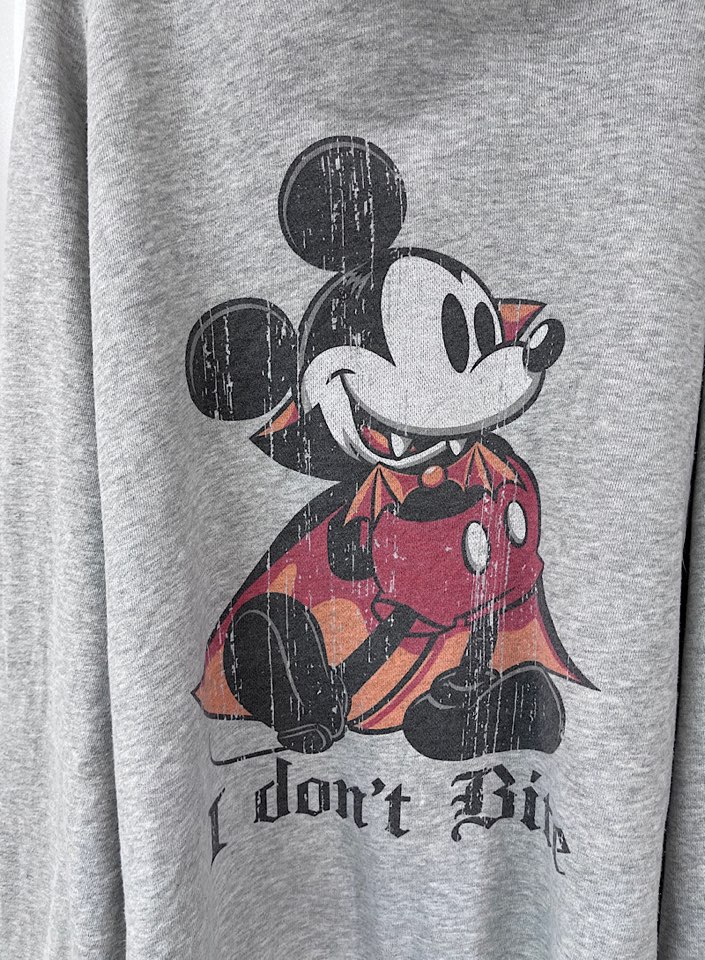 Disney hoodie (L)