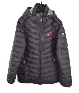 The north face goose down padding (M)